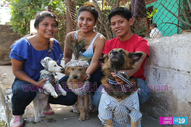 Masaya celebra un a&ntilde;o m&aacute;s a San L&aacute;zaro con el tradicional desfile de mascotas  